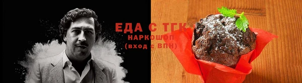 СК Осинники