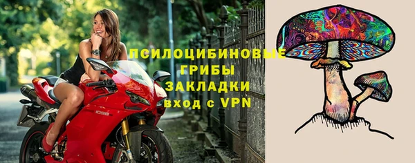 СК Осинники