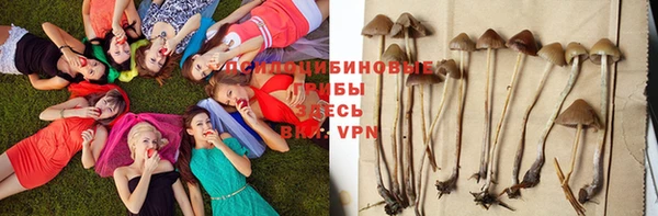 СК Осинники