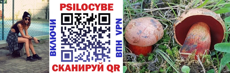 Псилоцибиновые грибы мицелий  где можно купить наркотик  даркнет Telegram  Сертолово 